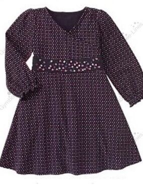 Gymboree Vintage 2006 Pretty in Plum Dress Size 6